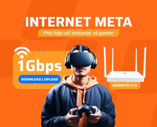 gói meta fpt